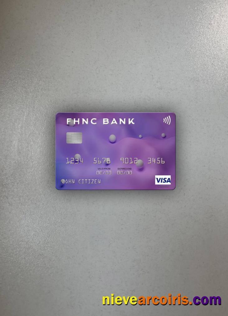 USA First Horizon National Corporation Bank visa card photolook